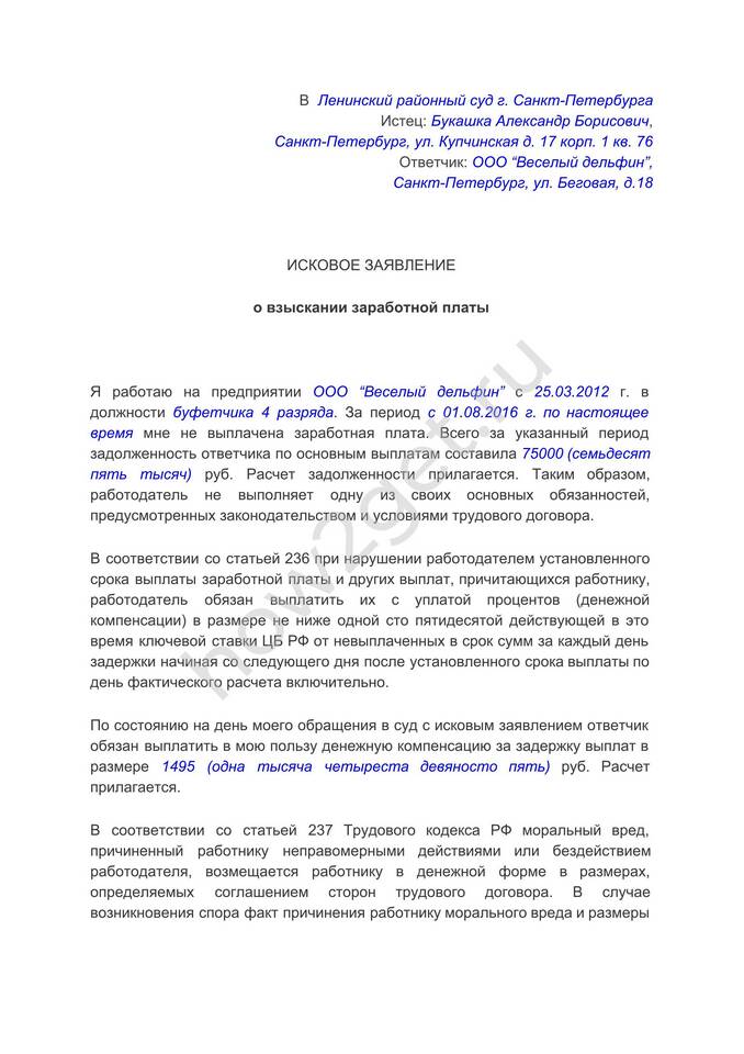 Образцы заявлений при невыплате заработной платы