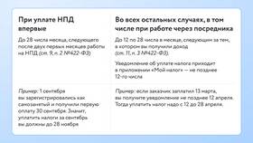 Чем нужно заниматься самозанятым в Вестфалика