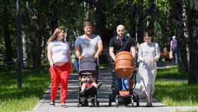 Как оформить выплату по беременности и родам через Госуслуги в Вестфалика