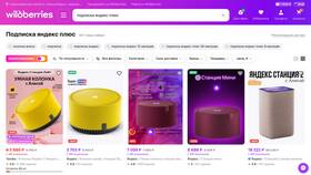 Как пользоваться подпиской Алиса в Вестфалика