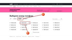 Как проверить интернет на телефоне Tele2 в Вестфалика