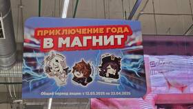 Как проверить количество бонусов на карте «Магнит» в Вестфалика