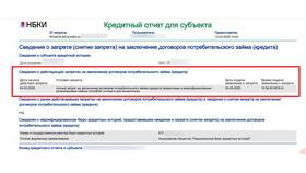 Как снять запрет на кредиты через Госуслуги в Вестфалика