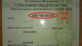 Как узнать СНИЛС ребенка в Вестфалика