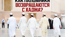 Почему не дали визу на хадж паломникам в Вестфалика
